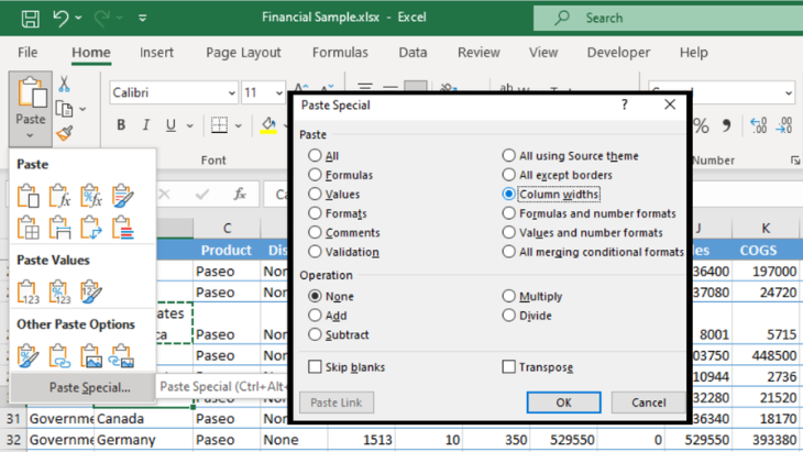 Copy Column Width Using Paste Special Feature